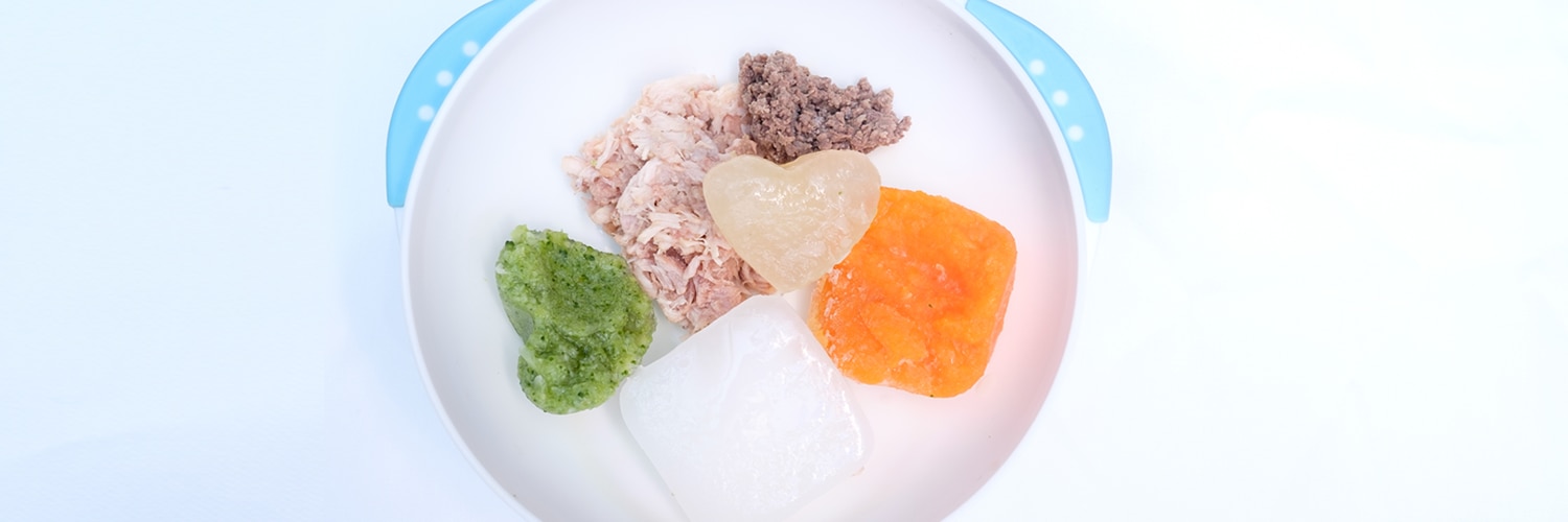 menu mpasi 4 bintang