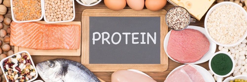 protein menu mpasi anak