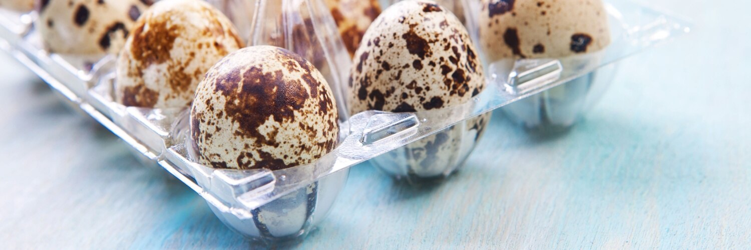 MPASI Telur Puyuh: Pilihan Makanan Tinggi Protein untuk Si Kecil