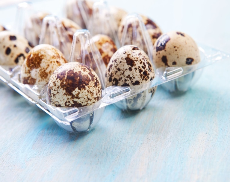 MPASI Telur Puyuh: Pilihan Makanan Tinggi Protein untuk Si Kecil