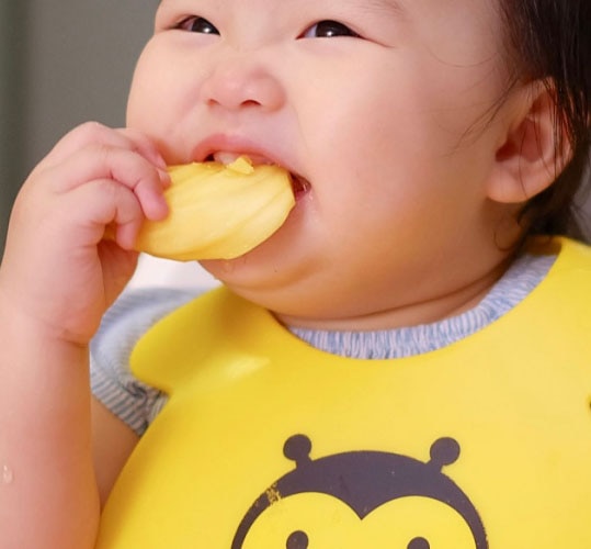 Camilan sehat mpasi