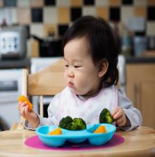 anak picky eater